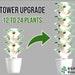 Hydroponic Tower Upgrade 12 To 24 Plants