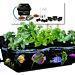 Hydroponic Garden Kit, 19 Pieces. Bpa-free Air Pump, Air Stone, Mesh Pots, Spigot, Pebbles,plugs, Organic Nutrients, Organic Seeds And More.