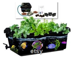 Hydroponic garden kit, 19 pieces. BPA-free air pump, air stone, mesh pots, spigot, pebbles,plugs, organic nutrients, organic seeds and more.