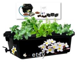 Hydroponic garden kit, 19 pieces. BPA-free air pump, air stone, mesh pots, spigot, pebbles,plugs, organic nutrients, organic seeds and more.