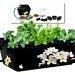 Hydroponic Garden Kit, 19 Pieces. Bpa-free Air Pump, Air Stone, Mesh Pots, Spigot, Pebbles,plugs, Organic Nutrients, Organic Seeds And More.