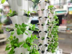 Hydroponic system , hydroponic tower indoor outdoor