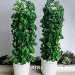 Hydroponic system , hydroponic tower indoor outdoor