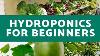Hydroponics For Beginners Everything You Need To Know For Successful Hydroponic Growth
