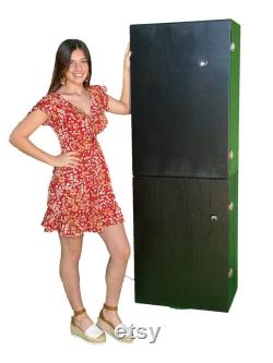 Hydroponics Grow Box Growzilla 4 Plant Tall, Stealth, Automated, Vertical Hydroponic Grow System Indoor Gardening Unit Grow Your Own