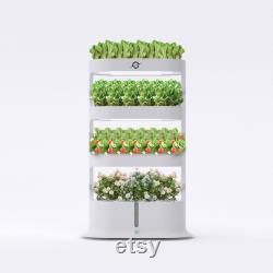 Hydroponics Growing System Kit, Larger Capacity Hydroponic Natural Balanced Tower for Germination, Indoor Herb Garden with LED Grow Light