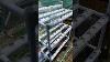 Hydroponics Seeds Started Gardening Greenhouses Greenhouse Garden Gardengreenhouse