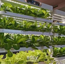 Hydroponics growing system Indoor garden Digital display Large size User friendly Grow vegetables fast Fast tracked air shipping