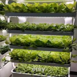 Hydroponics growing system Indoor garden Digital display Large size User friendly Grow vegetables fast Fast tracked air shipping