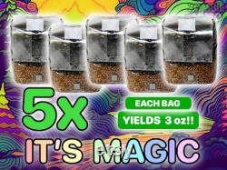 IT'S MAGIC Mushroom All In One Grow Bag 25lb 5 PACK