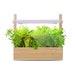Indoor Garden Growing System Perfect For Growing Houseplants From Seed