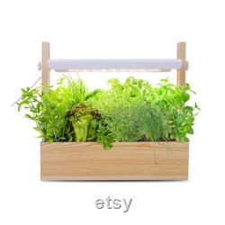 Indoor Garden Growing System Perfect for Growing Houseplants from Seed