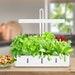 Indoor Garden Hydroponic Growing System Perfect For Growing Houseplants