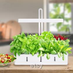 Indoor Garden Hydroponic Growing System Perfect for Growing Houseplants
