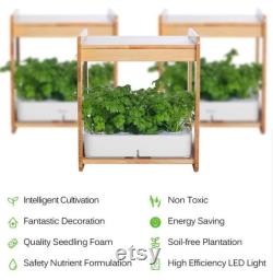 Indoor Gardening Growth Light With Bamboo Frame Plant Grow Box Cabinet Hydroponic Planter Water Hydroponic Garden System Kit