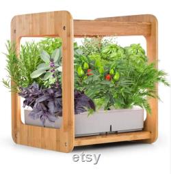 Indoor Gardening Growth Light With Bamboo Frame Plant Grow Box Cabinet Hydroponic Planter Water Hydroponic Garden System Kit