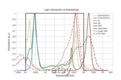 Indoor Premium LED Light