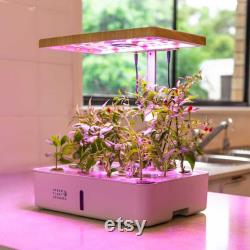 Indoor Smart Garden, 12 Plants The TerraGarden