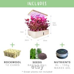 Indoor Smart Garden, 12 Plants The TerraGarden