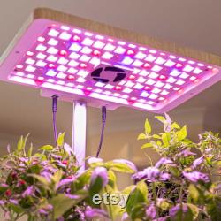 Indoor Smart Garden, 12 Plants The TerraGarden