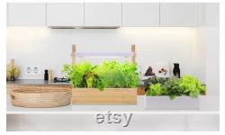 Indoor Wooden Hydroponic Growing System Full Spectrum Grow Light Automatic Timer 8 PCS Plastic Flower Pots