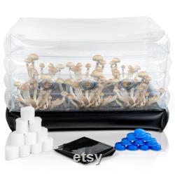 Inflatable Mushroom Monotub, Plugs and Filters for Fresh Air Exchange, Inflatable for Easy Storage, Reusable Alternative to Grow Bags