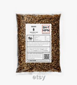Injection Port I Sterile Organic Rye Grain Bag I mushroom spawn I XL 1 kg 1.8l I