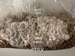 Injection Port I Sterile Organic Rye Grain Bag I mushroom spawn I XL 1 kg 1.8l I