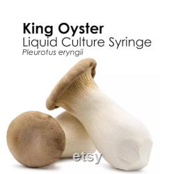KING TRUMPET Liquid Culture Mushroom Syringe Pleurotus Eryngii Inoculation Mycelium Starter Culture