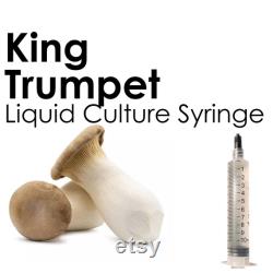 KING TRUMPET Liquid Culture Mushroom Syringe Pleurotus Eryngii Inoculation Mycelium Starter Culture