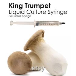 KING TRUMPET Liquid Culture Mushroom Syringe Pleurotus Eryngii Inoculation Mycelium Starter Culture