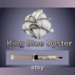 King Blue Oyster Mushroom Liquid Culture