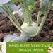 Kohlrabi Organic Seeds, 10 Count Kohlrabi Vegetable Seed, Kohlrabi Plant For Pot And Garden, Non-gmo Heirloom, Open Pollination