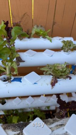 LAPOND Hydroponic Empty Net Hole Covers
