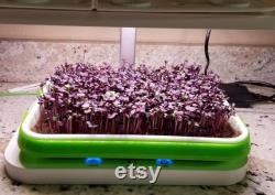 LED Automated Light System for Home Microgreen Growers