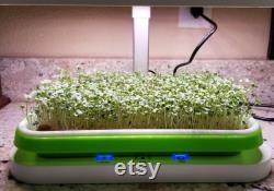 LED Automated Light System for Home Microgreen Growers