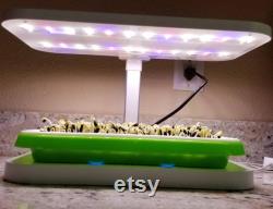 LED Automated Light System for Home Microgreen Growers