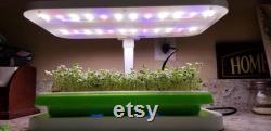 LED Automated Light System for Home Microgreen Growers