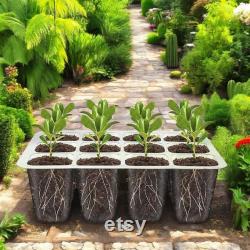 LED Nursery Pots Seed Starter Kit with Grow Light 12 Cell Germination Tray with Timer, Indoor Greenhouse Kit for Seedlings and Herbs