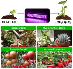 LED Plant Grow Lights Full Spectrum Hydroponic Grow Lights