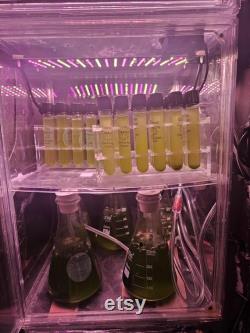 Lab Enclosure style cabinet, variable speed control fans, Day night full spectrum grow lights with dimmers