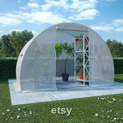Large Spacious Greenhouse