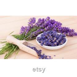 Lavender Organic Seeds, 50 Count Purple Flowers Lavender Seeds, Lavender Flower Seed for Garden and Pot, Non-GMO -Heirloom,Open Pollinated