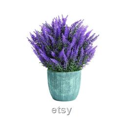 Lavender Organic Seeds, 50 Count Purple Flowers Lavender Seeds, Lavender Flower Seed for Garden and Pot, Non-GMO -Heirloom,Open Pollinated