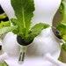 Lettuce Grow Compatible Reusable Algae Control Covers Works With Original Grow Cups And Plant Id Grow Cups Hydroponic Gardening