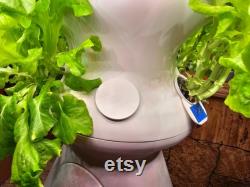 Lettuce Grow (LG Farmstand) Round Grow Cup Caps Read Description before ordering