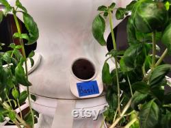 Lettuce Grow (LG Farmstand) Round Grow Cup Caps Read Description before ordering