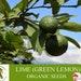 Lime Organic Seeds, 5 Count Lime Seeds, Lime Lime Plant Seeds For Garden And Pot, Non-gmo Heirloom, Open Pollination