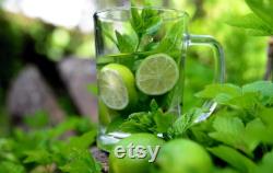 Lime Organic Seeds, 5 Count Lime Seeds, Lime Lime Plant Seeds for Garden and Pot, Non-GMO Heirloom, Open Pollination