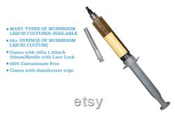 Lion's Mane (Hericium erinaceus) Mushroom Liquid Culture Liquid Culture Syringe